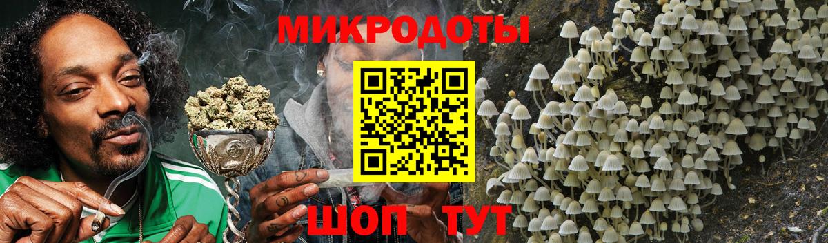 Галлюциногенные грибы GOLDEN TEACHER Балашиха
