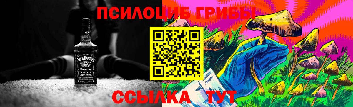 Галлюциногенные грибы MAGIC MUSHROOMS  Галлюциногенные грибы прущие грибы  где продают наркотики  Вход с VPN  Балашиха 